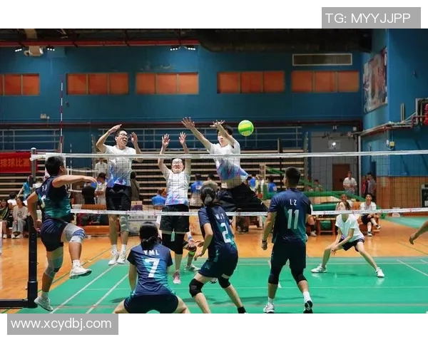 广州排球队总决赛精彩配合分析与表现总结